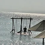 Tranquil By The Sea * Vokolidha
