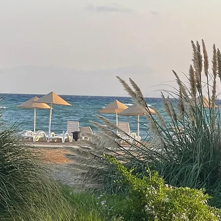 Tranquil By The Sea *