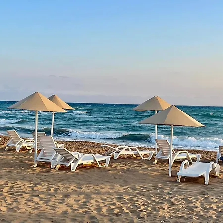 Tranquil By The Sea * Vokolidha