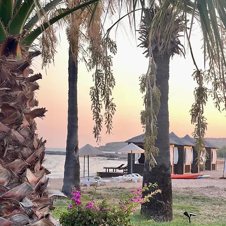 Tranquil By The Sea شقة