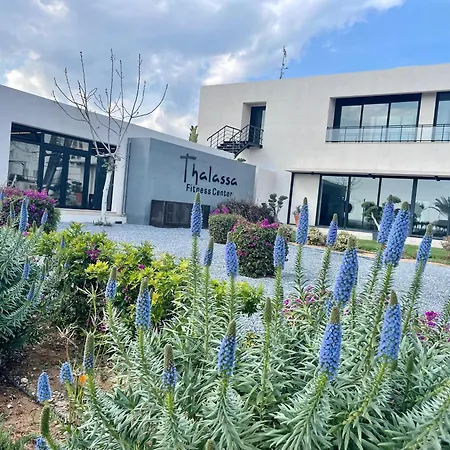 Tranquil By The Sea * Vokolidha