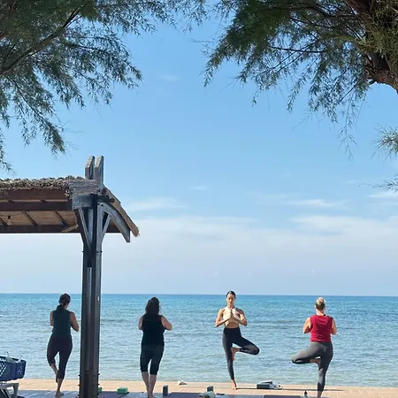Tranquil By The Sea * Vokolidha