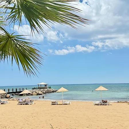 Tranquil By The Sea * Vokolidha