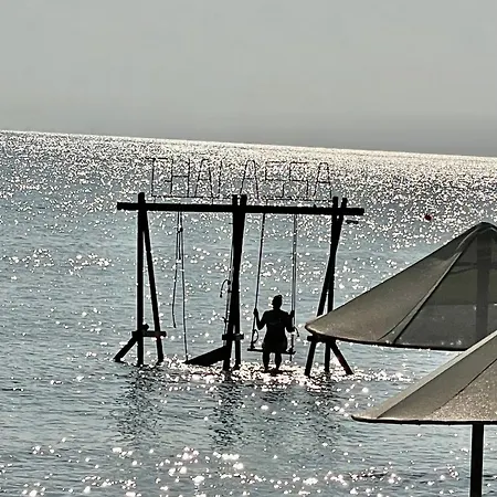 Tranquil By The Sea * Vokolidha