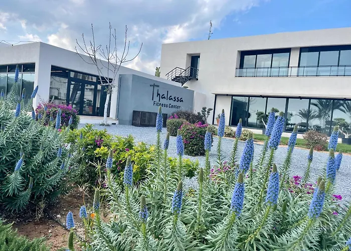 Tranquil By The Sea * Vokolidha