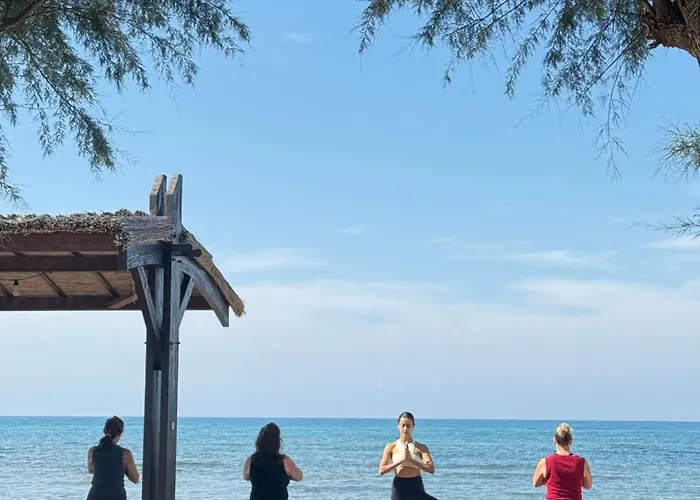 Tranquil By The Sea * Vokolidha