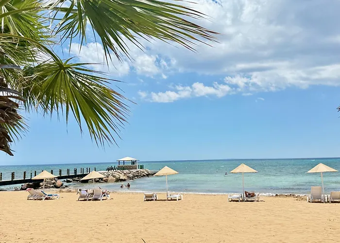 Tranquil By The Sea * Vokolidha